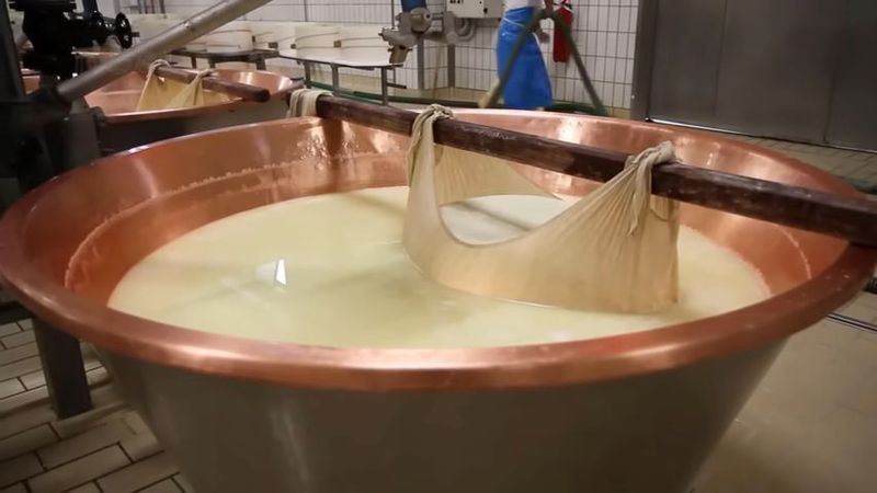 sūrių gamybos verslas