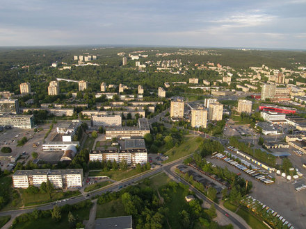 Antakalnis paskendęs žalumoje