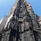 Viena_bok_tai_2