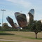 P4173238_floralis_generica