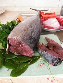 Šviežias nedidelis tunas