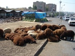 Avių pulkas Jerevano priemiestyje