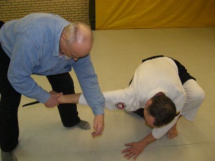 Aikido treniruotė su Vladimiru Lisicynu