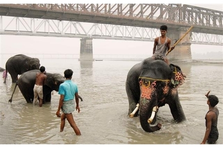 Gangas. AFP PHOTO/Scanpix