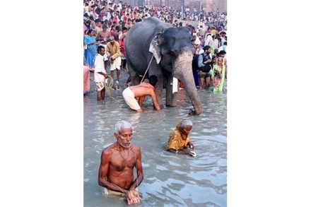 Gangas. AFP PHOTO/Scanpix