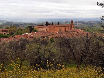 Toskana. San Gimignano