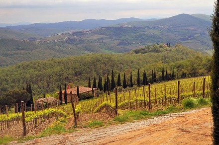 Toskana. Chianti