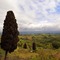 Toskana_sangimignano_apylinkes