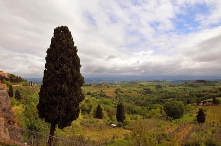 Toskana. San Gimignano