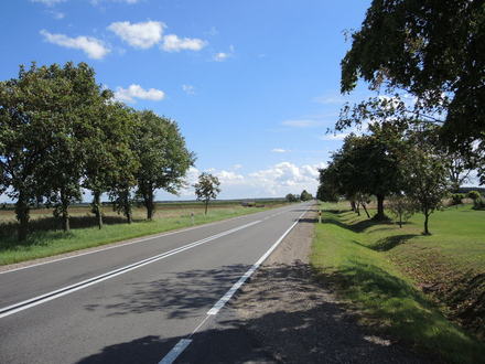 Kelias i liublina lenkijoje