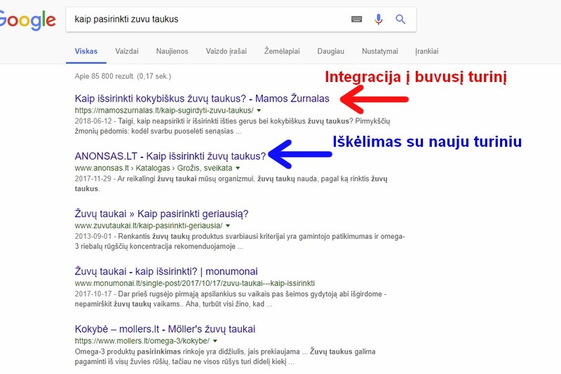 Reklama google paieškoje